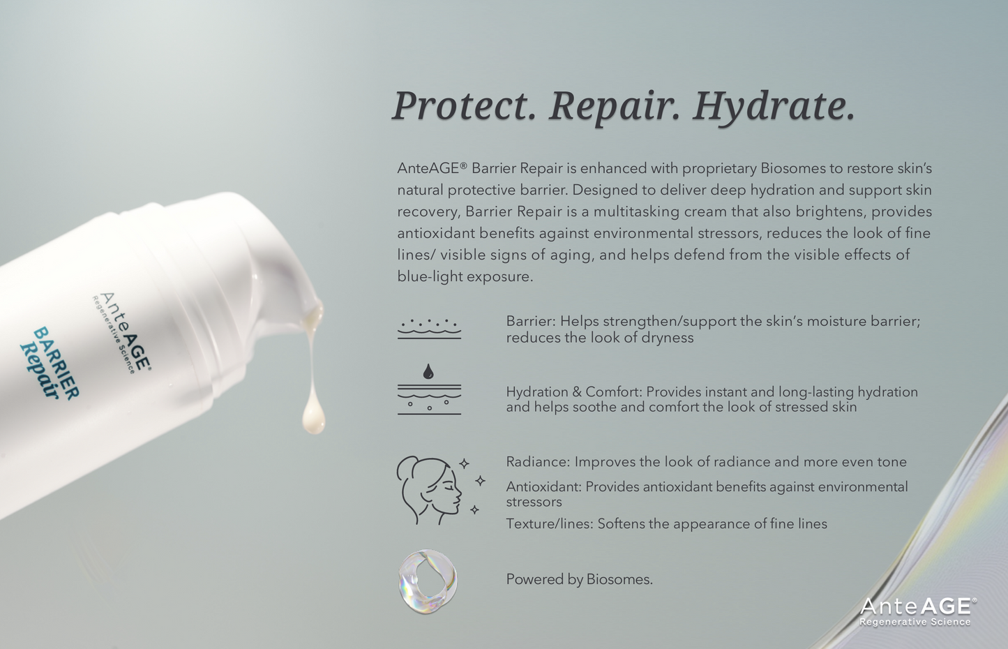 AnteAGE Barrier Repair